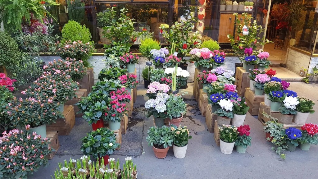 Vitrine extérieure fleurie du magasin